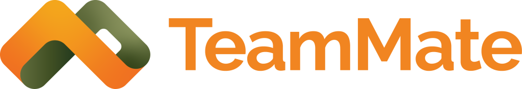 TeamMate Technology Logo