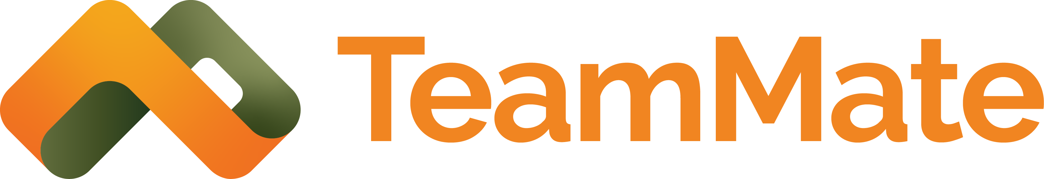 TeamMate Technology Logo